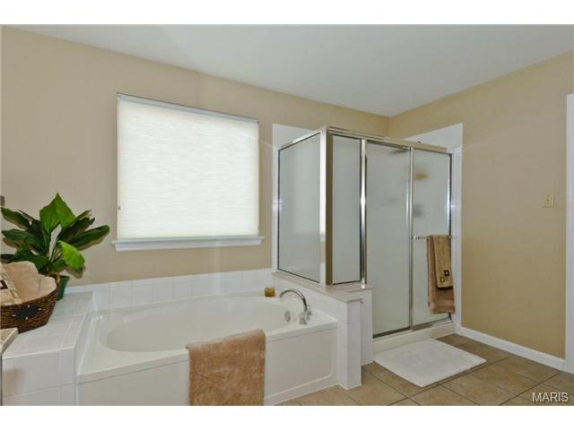 1008 Red Orchard Trl, O'fallon, MO 63368 photo 20