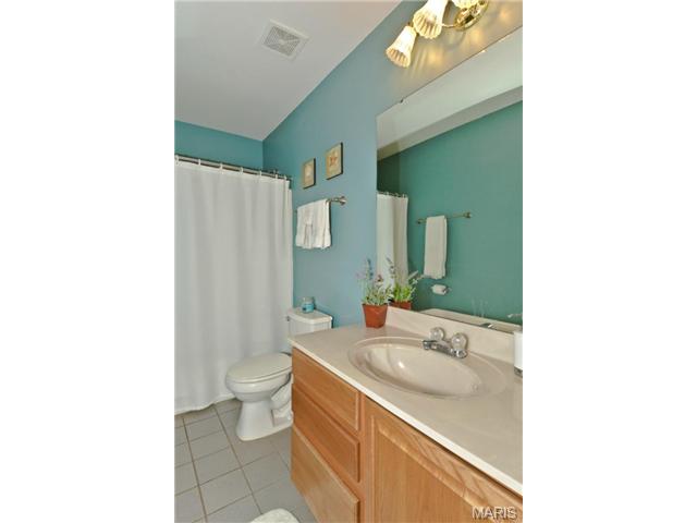 1008 Red Orchard Trl, O'fallon, MO 63368 photo 25