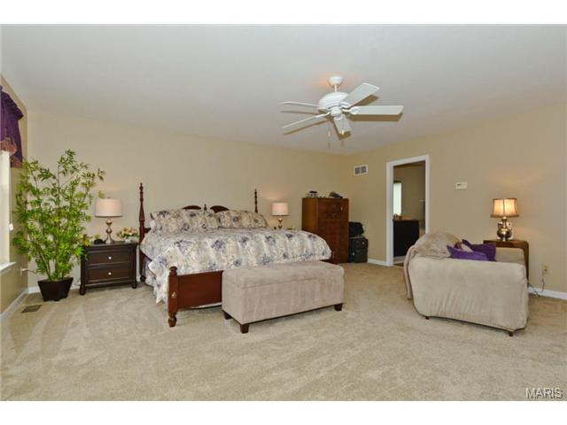 1008 Red Orchard Trl, O'fallon, MO 63368 photo 17