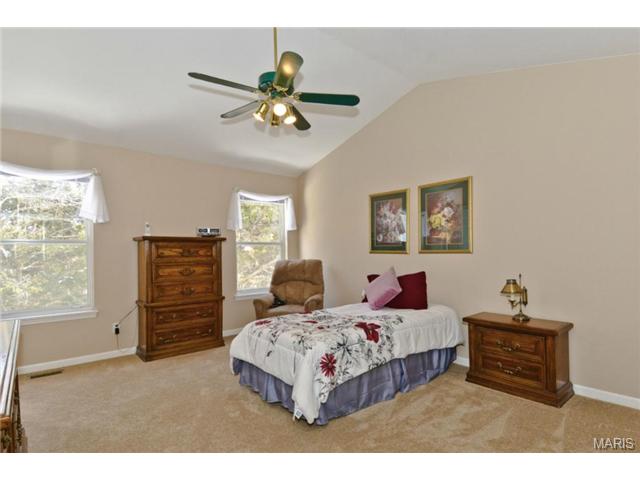 266 Jacob, Ballwin, MO 63021 photo 15