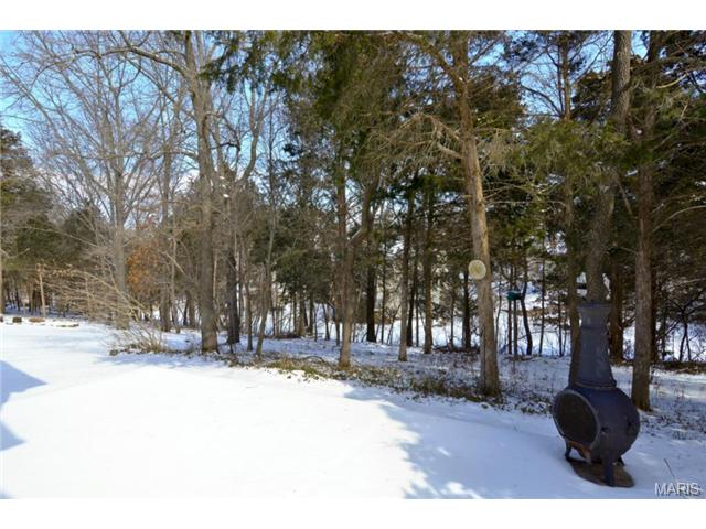 266 Jacob, Ballwin, MO 63021 photo 20