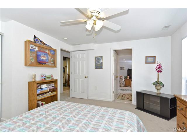 266 Jacob, Ballwin, MO 63021 photo 10