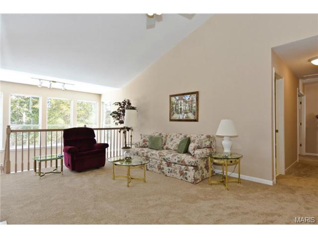 266 Jacob, Ballwin, MO 63021 photo 17