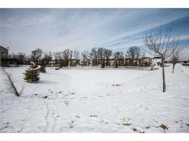 5102 Spring River Dr, O'fallon, MO 63368 photo 24