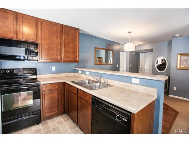 5102 Spring River Dr, O'fallon, MO 63368 photo 9