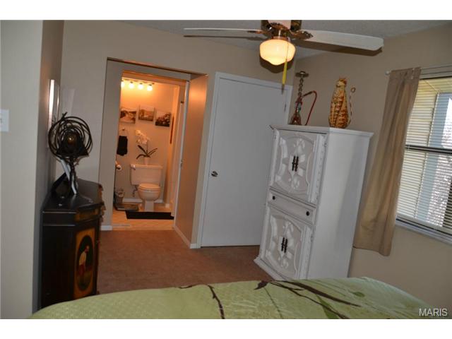 196 Walden Dr, Eureka, MO 63025 photo 18