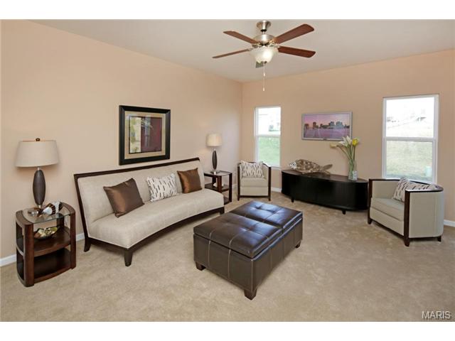 605 Falling Brook Dr, O'fallon, MO 63366 photo 5