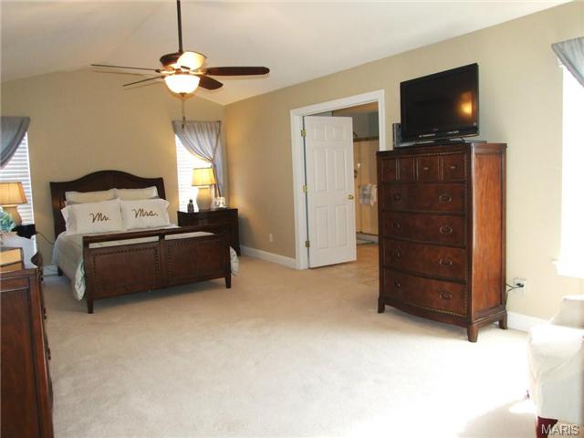 318 Lake Side View Ln, Saint Peters, MO 63376 photo 15
