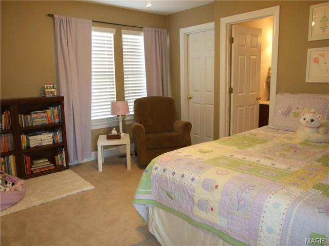 318 Lake Side View Ln, Saint Peters, MO 63376 photo 31