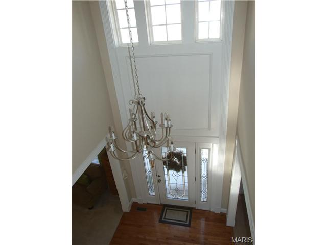 318 Lake Side View Ln, Saint Peters, MO 63376 photo 33