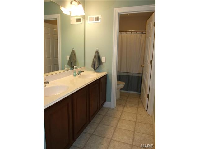 318 Lake Side View Ln, Saint Peters, MO 63376 photo 30