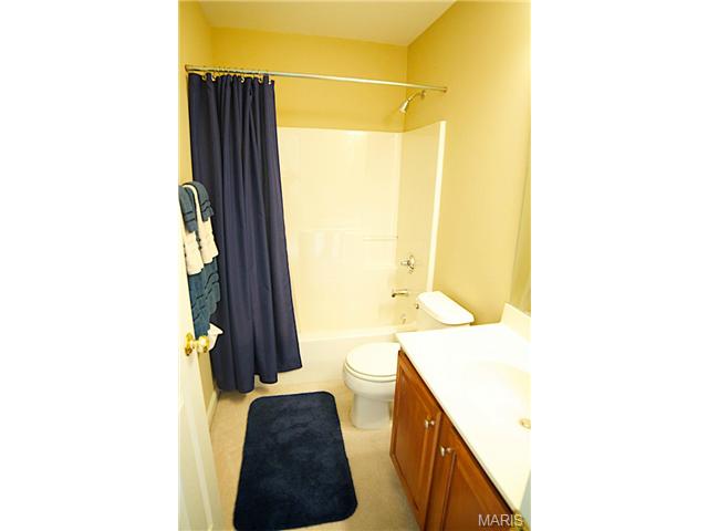 954 Sheffield Forest Ct, Ballwin, MO 63021 photo 45