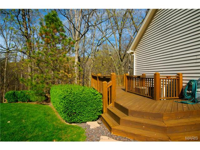 954 Sheffield Forest Ct, Ballwin, MO 63021 photo 53