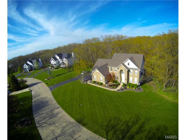 954 Sheffield Forest Ct, Ballwin, MO 63021 photo 4