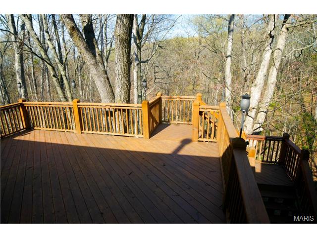 954 Sheffield Forest Ct, Ballwin, MO 63021 photo 57