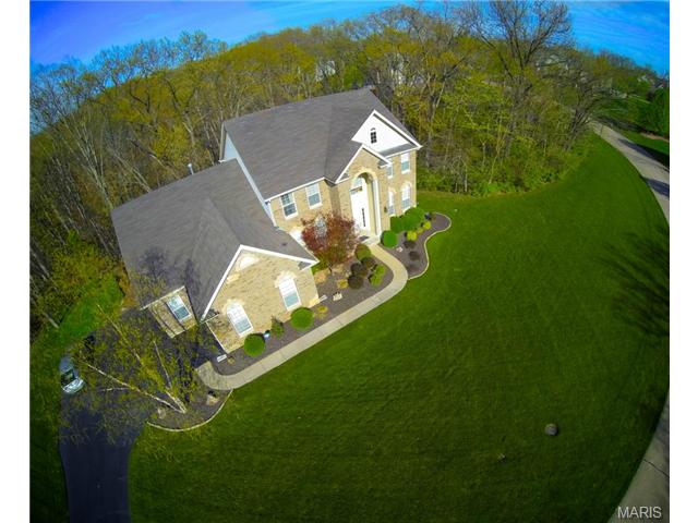 954 Sheffield Forest Ct, Ballwin, MO 63021 photo 3