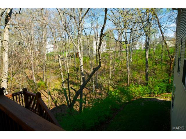 954 Sheffield Forest Ct, Ballwin, MO 63021 photo 54