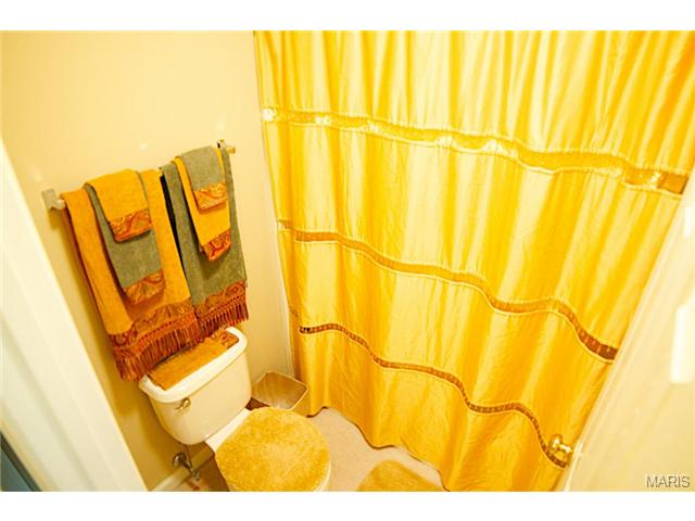 954 Sheffield Forest Ct, Ballwin, MO 63021 photo 50