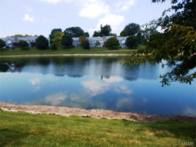 3065 Devilla Trl, Saint Charles, MO 63301 photo 27