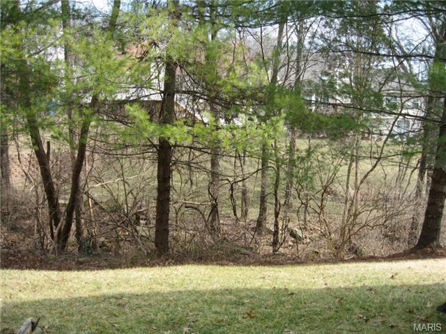 4618 Hickory Ridge View Ct, Eureka, MO 63025 photo 4