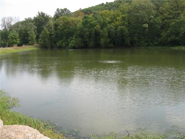 4618 Hickory Ridge View Ct, Eureka, MO 63025 photo 37