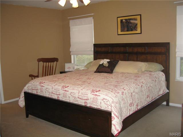 4618 Hickory Ridge View Ct, Eureka, MO 63025 photo 6