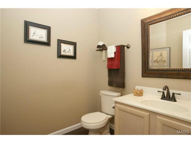 428 Covered Bridge Ln, O'fallon, MO 63368 photo 8