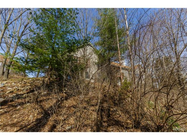 166 Cascade Circle Dr, Ballwin, MO 63021 photo 24