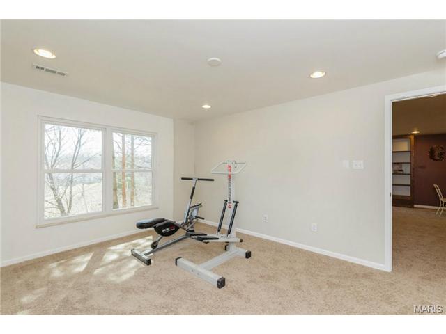 166 Cascade Circle Dr, Ballwin, MO 63021 photo 19