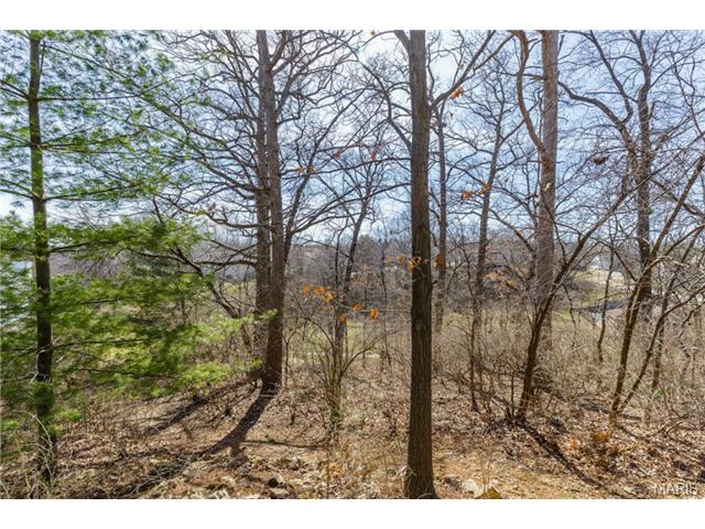 166 Cascade Circle Dr, Ballwin, MO 63021 photo 23