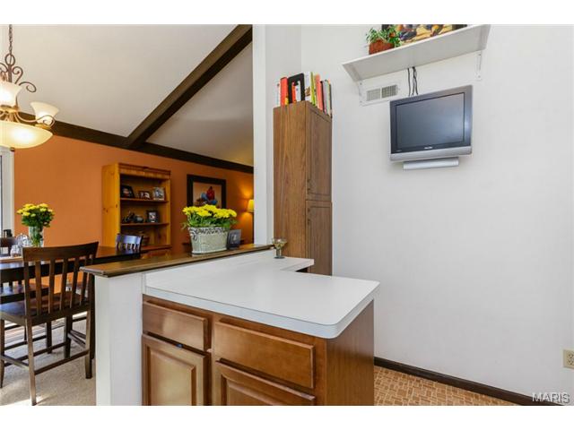 166 Cascade Circle Dr, Ballwin, MO 63021 photo 10