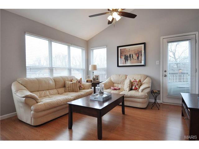 191 Cascade Terrace Dr, Ballwin, MO 63021 photo 7