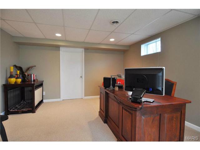 191 Cascade Terrace Dr, Ballwin, MO 63021 photo 42