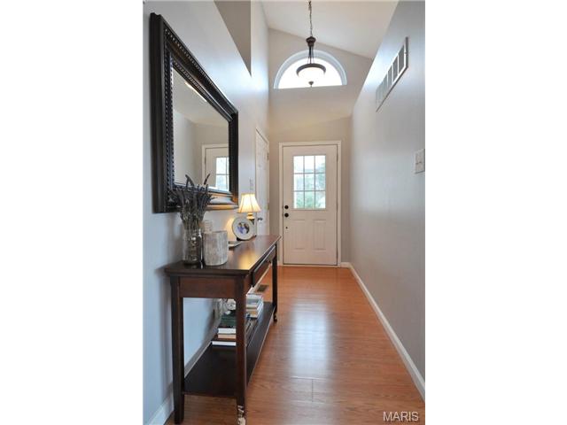 191 Cascade Terrace Dr, Ballwin, MO 63021 photo 56