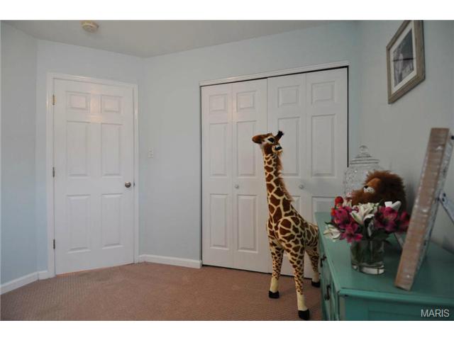191 Cascade Terrace Dr, Ballwin, MO 63021 photo 37