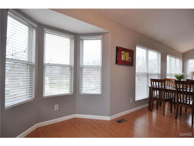 191 Cascade Terrace Dr, Ballwin, MO 63021 photo 18