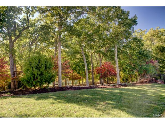 439 Meramec Vw, Eureka, MO 63025 photo 31