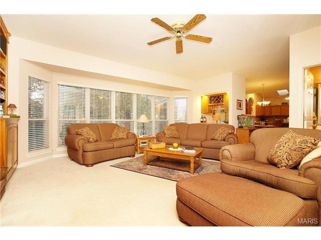 625 Arbor Haven Dr, Ballwin, MO 63021 photo 17