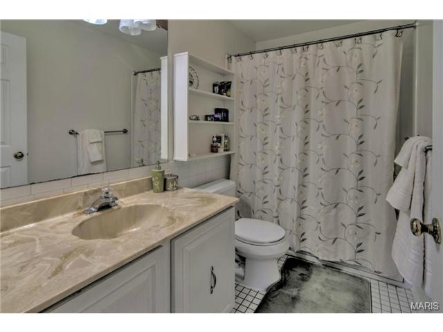 271 Glandore Dr, Ballwin, MO 63021 photo 31