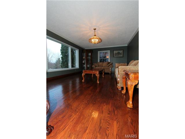 173 Jackson St, Augusta, MO 63332 photo 27