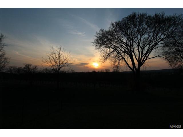 173 Jackson St, Augusta, MO 63332 photo 18