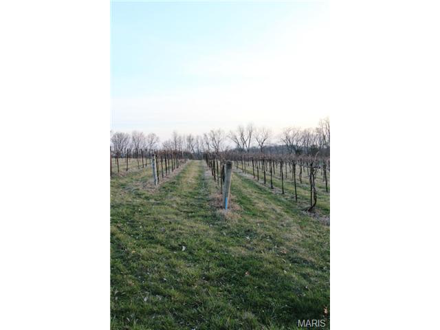 173 Jackson St, Augusta, MO 63332 photo 17