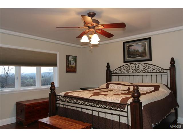 173 Jackson St, Augusta, MO 63332 photo 22