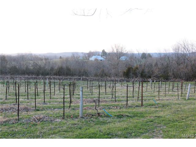 173 Jackson St, Augusta, MO 63332 photo 16