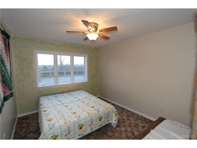 173 Jackson St, Augusta, MO 63332 photo 24