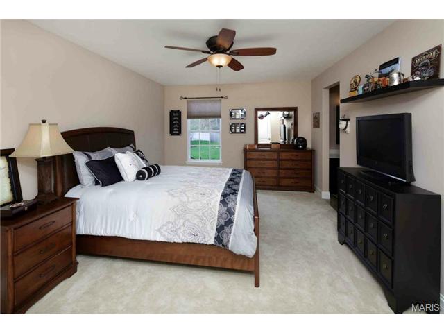 237 Dickens Farm Ln, Ballwin, MO 63021 photo 24