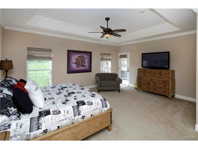 237 Dickens Farm Ln, Ballwin, MO 63021 photo 21
