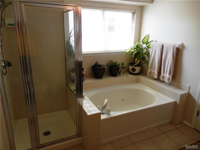 908 Cleta, Ballwin, MO 63021 photo 17