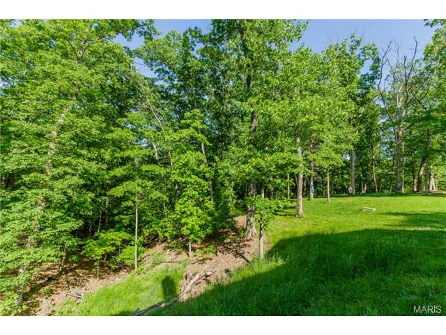 10 Hawk Forest Ct, Defiance, MO 63341 photo 39