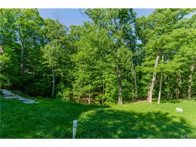 10 Hawk Forest Ct, Defiance, MO 63341 photo 34